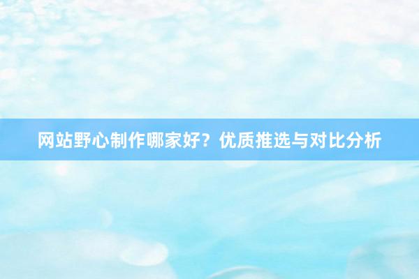 网站野心制作哪家好？优质推选与对比分析