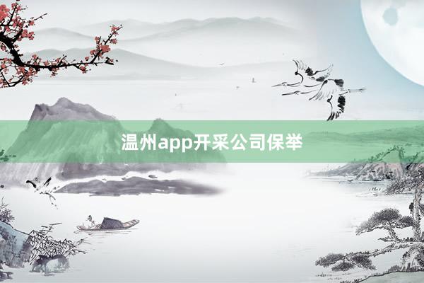 温州app开采公司保举