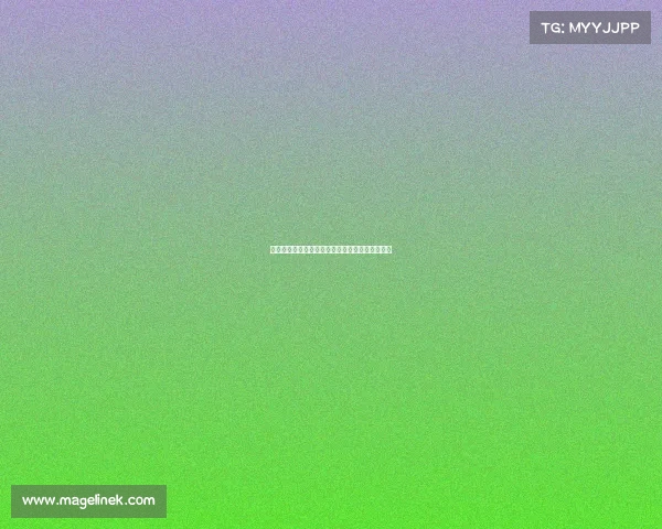 鹿岛鹿角主场迎战全北现代，亚冠小组赛关键战役